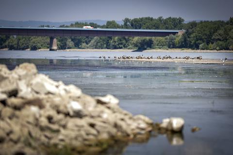 Trotz eines nach Niederschlägen zuletzt leichten Anstiegs des Wasserstandes hält die Niedrigwasserphase am Rhein an. Eine vollständige Entspannung der Lage ist laut Fachleuten noch nicht absehbar.        Archivfoto: Sascha Kopp