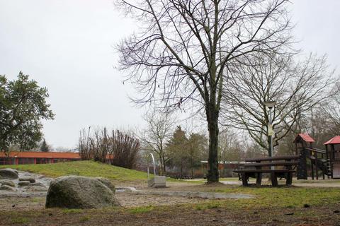 Der Friedenspark in Pfungstadt ist eine der Anlagen, deren Wege saniert werden sollen.