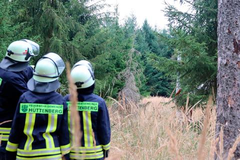 Feuerwehrleute aus Hüttenberg schauen sich im Gemeindewald um. Auch dort gibt es tote, leicht brennbare Bäume.  Foto: Sebastian Reh 