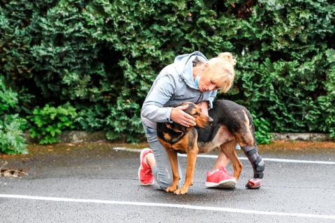Marita Müller, Vorsitzende der Hundehilfe Hinterland, ist froh, dass Hündin Zella nun ihre Lebensqualität zurückhat.  Foto: Nadine Weigel 