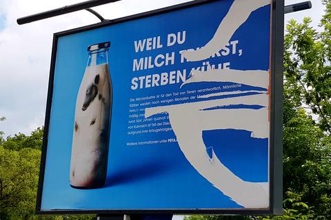 „Weil du Milch trinkst, sterben Kühe“: Mit diesem Spruch polarisiert das Peta-Plakat in Alsfeld. In der Nacht ist das Motiv bereits beschädigt worden.