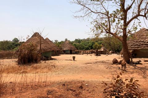 Auch in Guinea bestehen die meisten Dörfer aus Rundhütten.  Alle Fotos: Bernhardt 