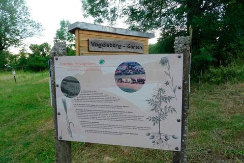 Der Vogelsberggarten soll zu einer "Arche" für aussterbende Pflanzenarten werden.  Foto: Graulich 
