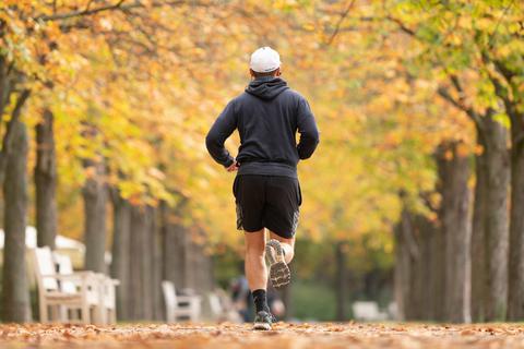 Ein Mann joggt im Herbst durch einen Park. An ihm sollten sich viele ein Beispiel nehmen, denn die WHO sagt: Die Deutschen sind zu träge. Foto: dpa