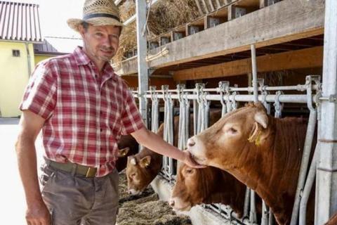 Peter Acker kümmert sich um die Rinder. Hof und Schlachtung müssen zwei Familien ernähren. Gerade wächst der Betrieb leicht.  Foto: Sascha Kopp