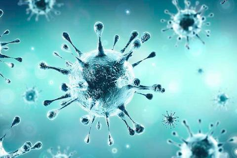 Die Ausbreitung des Coronavirus wirft viele Fragen auf. Foto: dpa