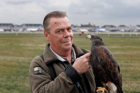 Falkner mit Spezial-Einsatzgebiet: Herbert Boger ist mit seinen Wüstenbussarden am Flughafen Hamburg für die Vogelvergrämung zuständig. © Markus Scholz/dpa-tmn