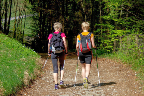 Walking, ob mit oder ohne Stöcke, ist der ideale Einstieg in den "Gesundheitssport zu Fuß". Foto: Franz Fischer (SV Heftrich) / VRM Lokal