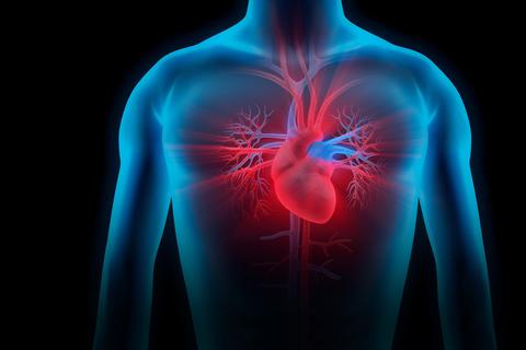 Mit Herzmuskelentzündungen ist nicht zu spaßen. Archivfoto: peterschreiber.media – stock.adobe